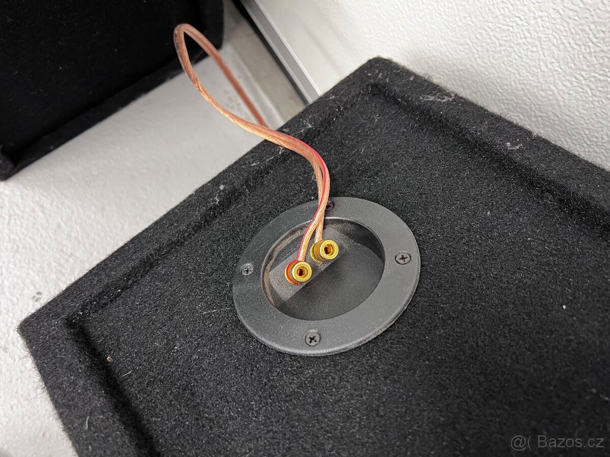 PIONEER TS-W306R - 3