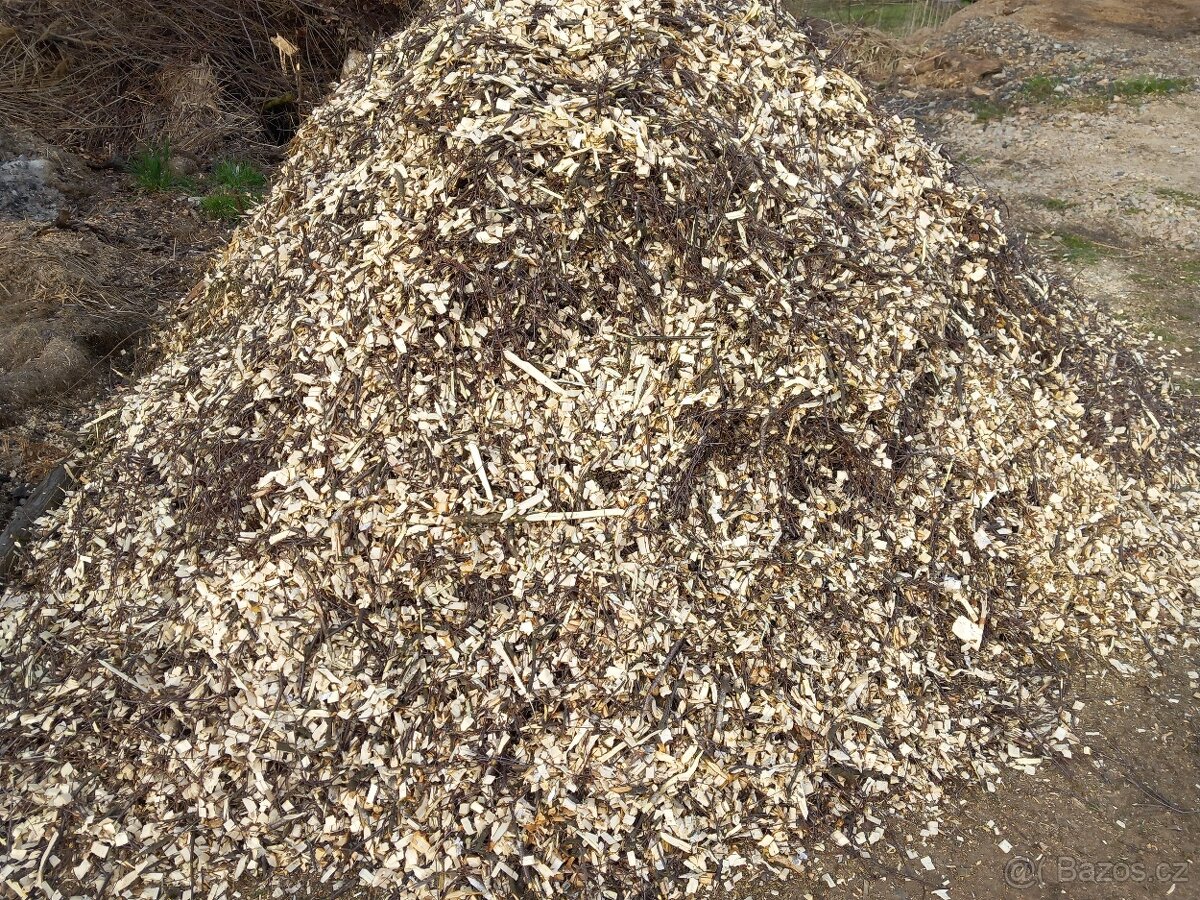 Prodám štěpku - 3