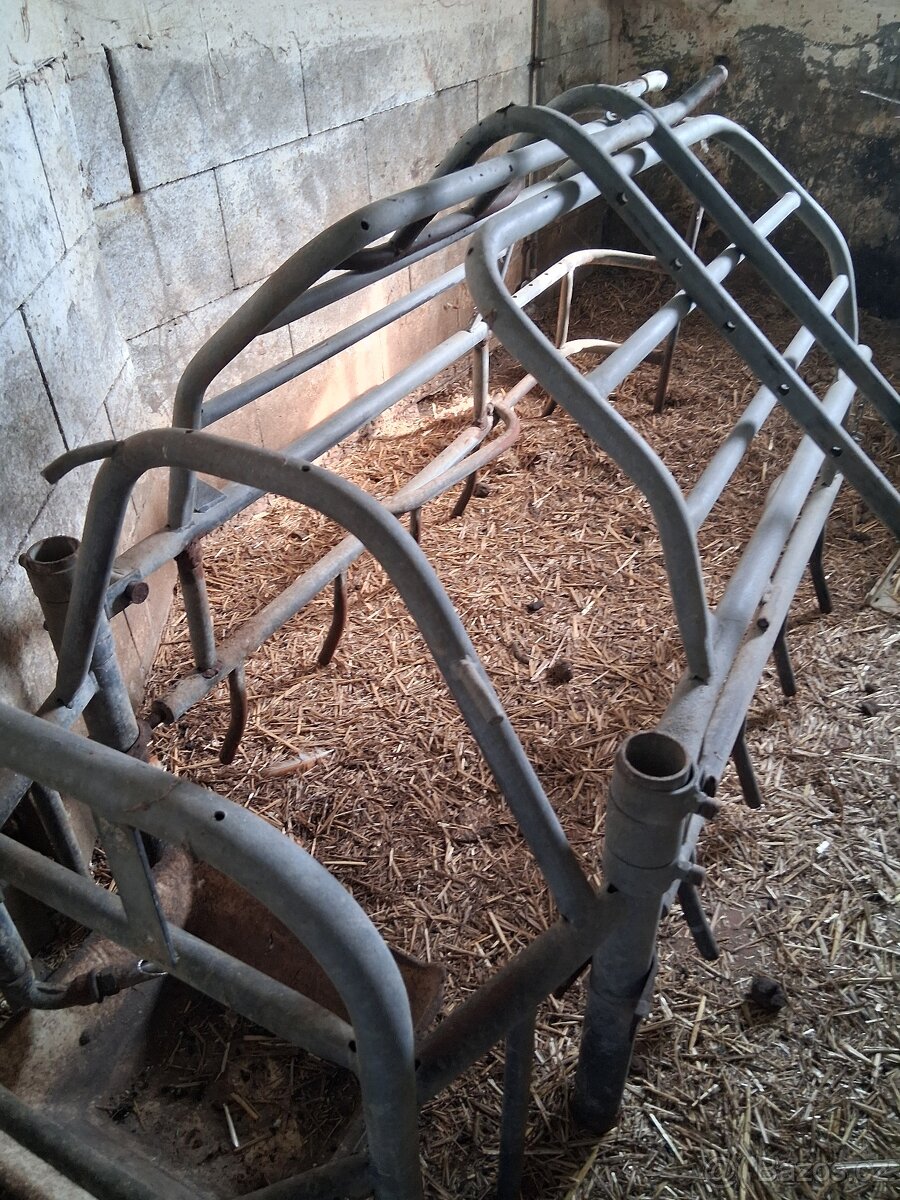 klec na prasnici - 3