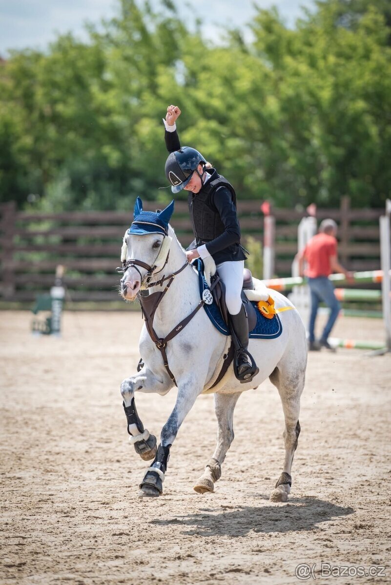 Nádherný pony valach - 3