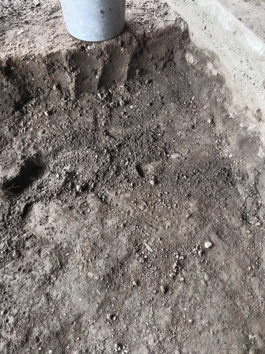 Zemina - 3