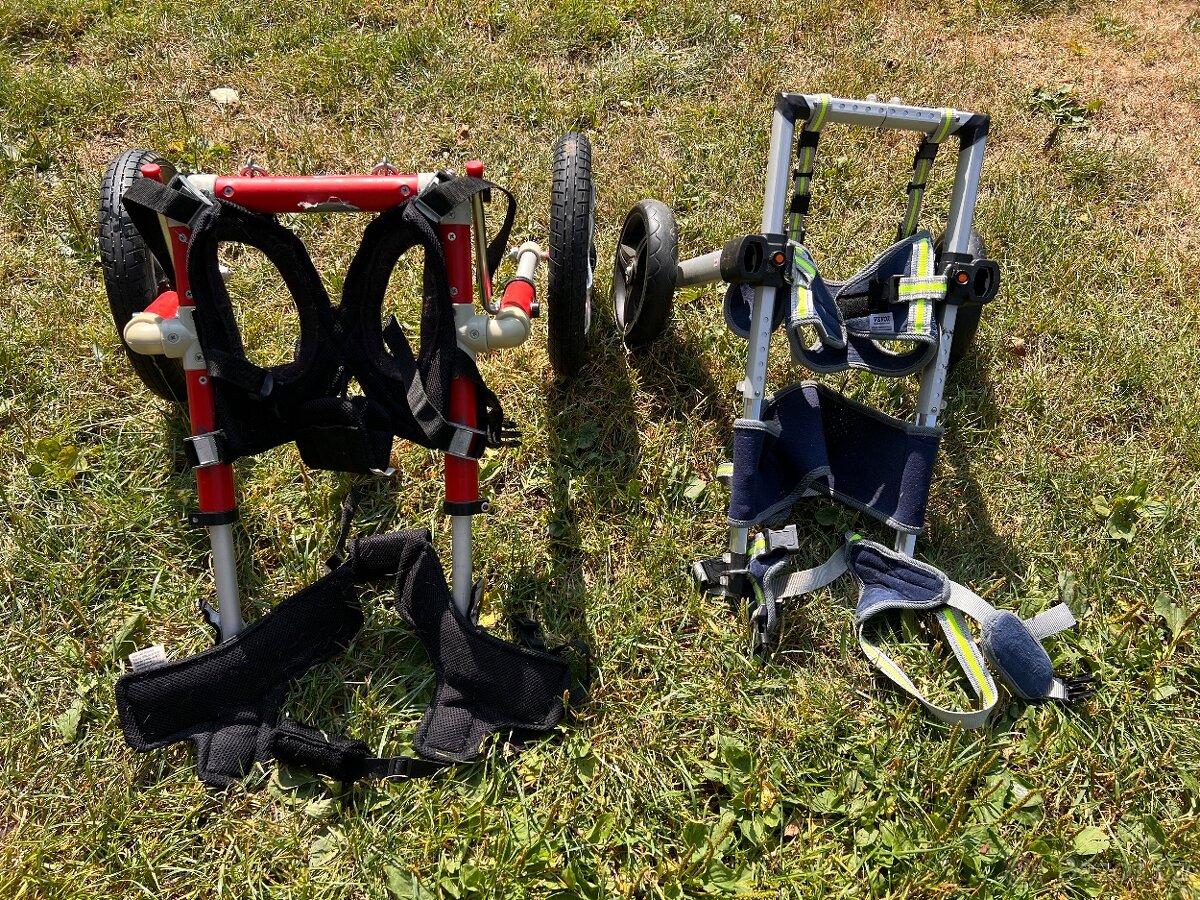 Inavalidni Voziky pro psy S, M - 3