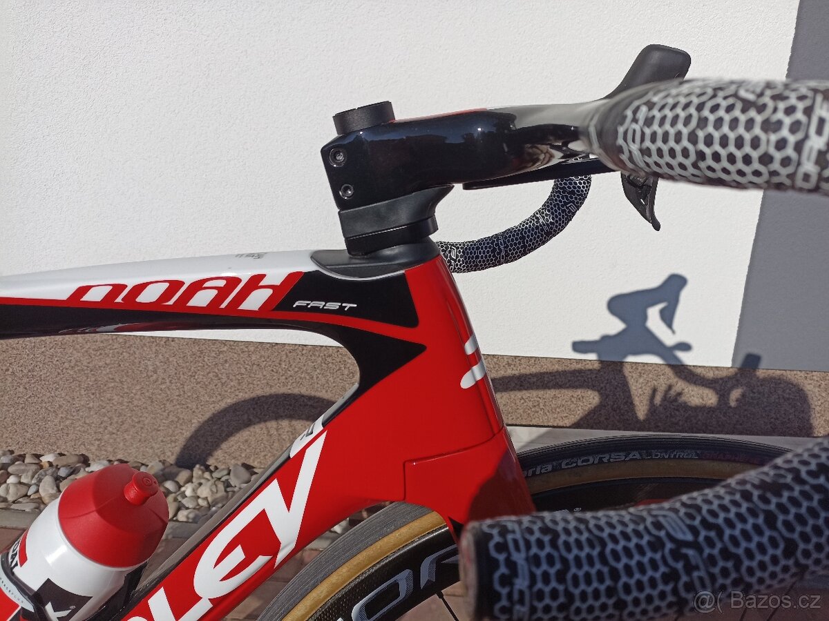 Ridley - 3