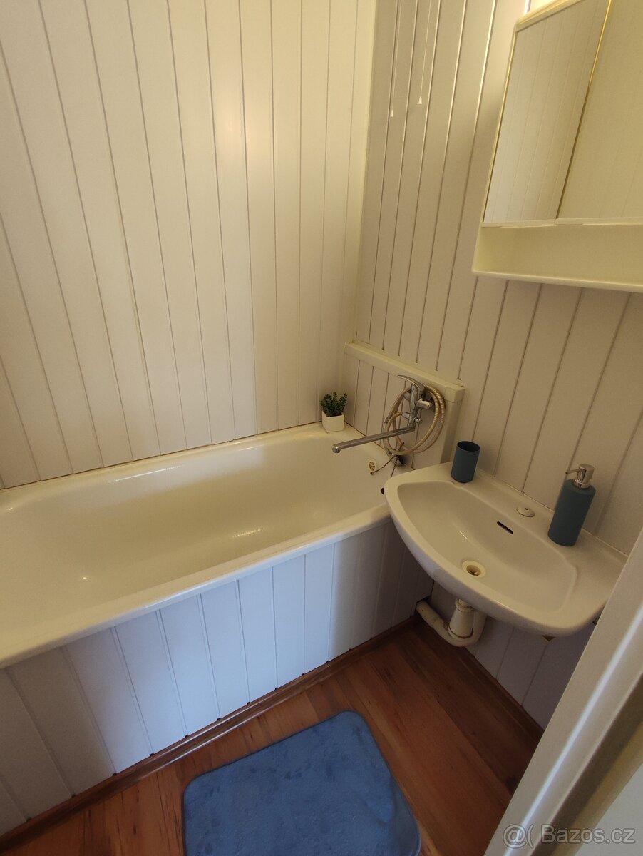 Pronájem bytu Nová Role 1+1 - 3