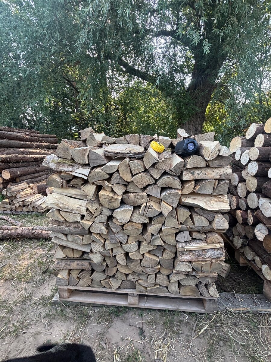 Palivové dřevo - 3