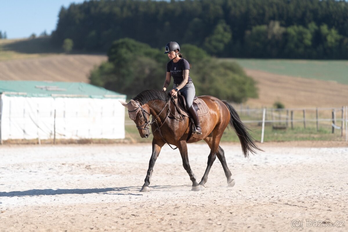 Klisna sport/rekreace - 3
