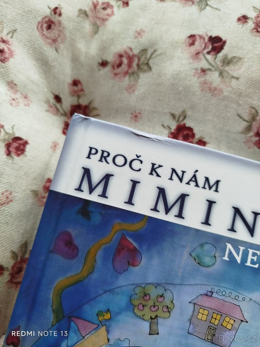 Proč k nám miminko nechce - Wahlgrenis - 3