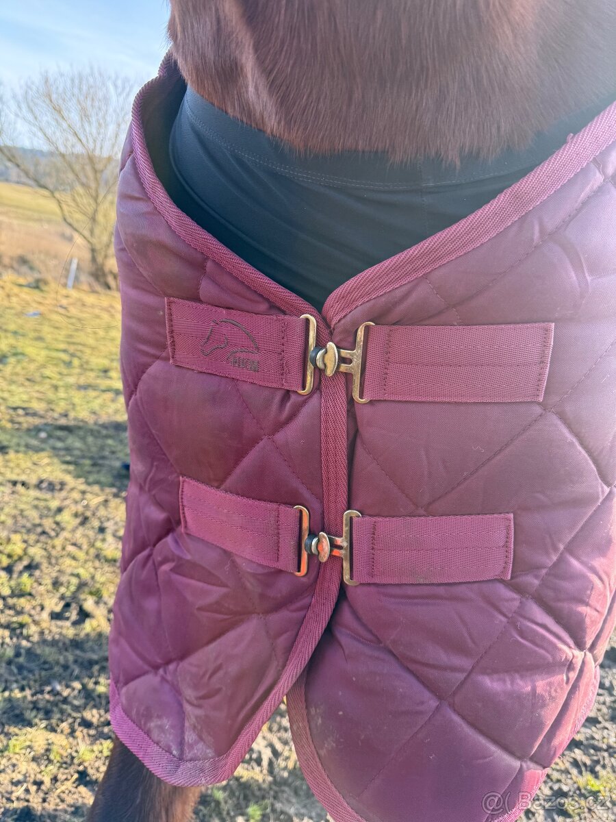 Stájová deka s teddy beranem. 155cm, 150g - 3