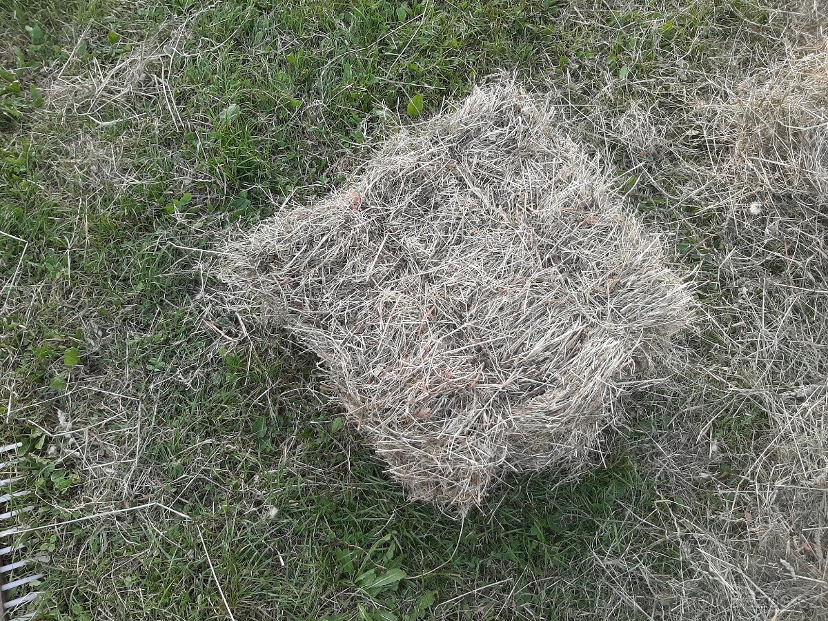 Seno malé balíky - 3