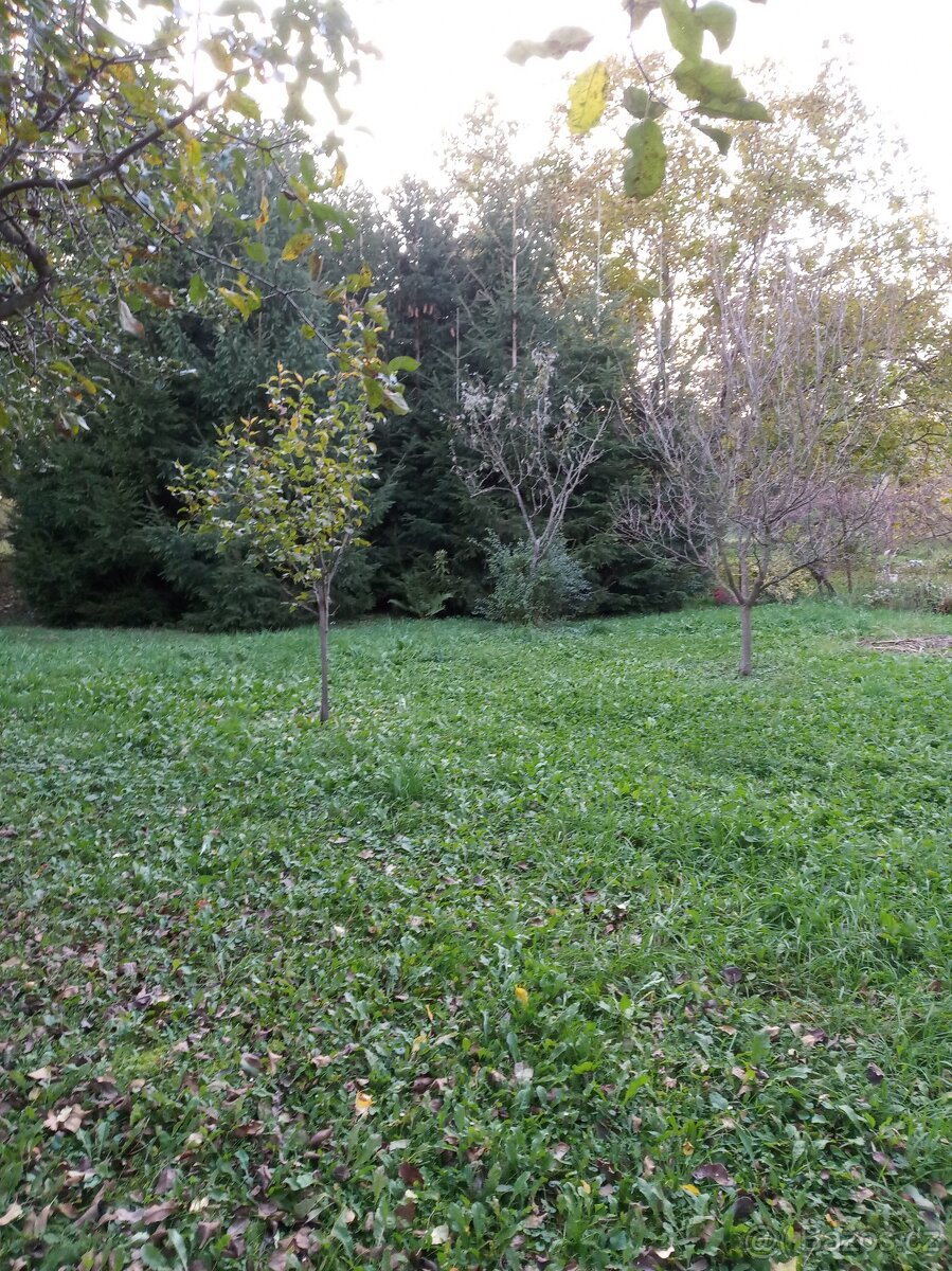 Pronájem zahrady - 3