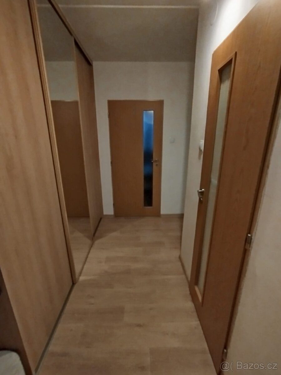 Pronájem - 3