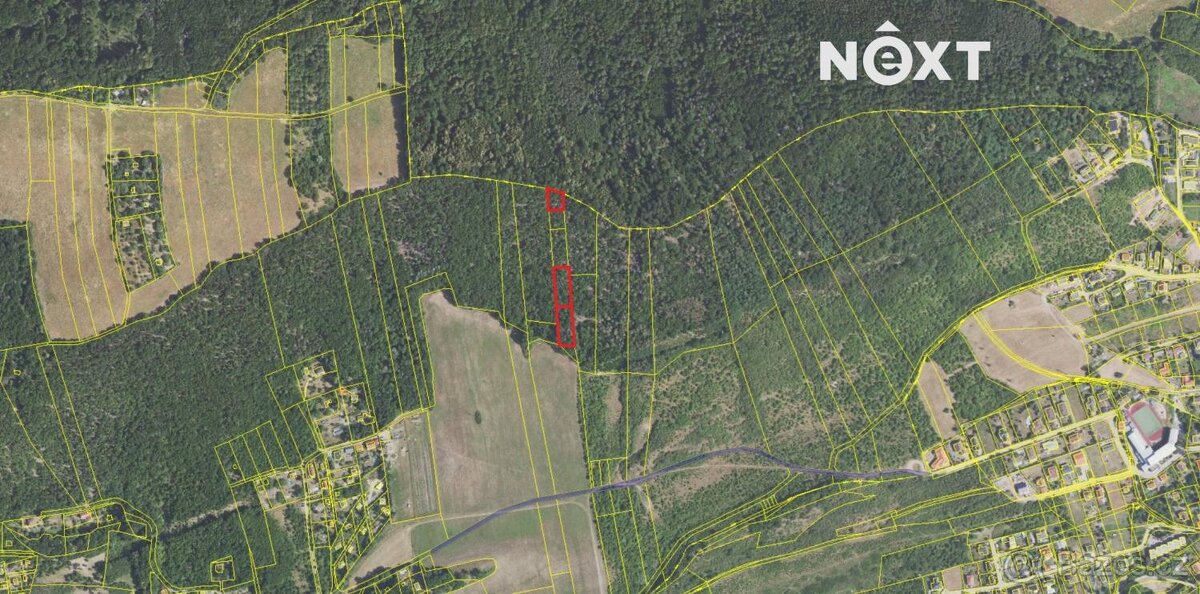 Prodej pozemek Lesy, 3149㎡ - 3