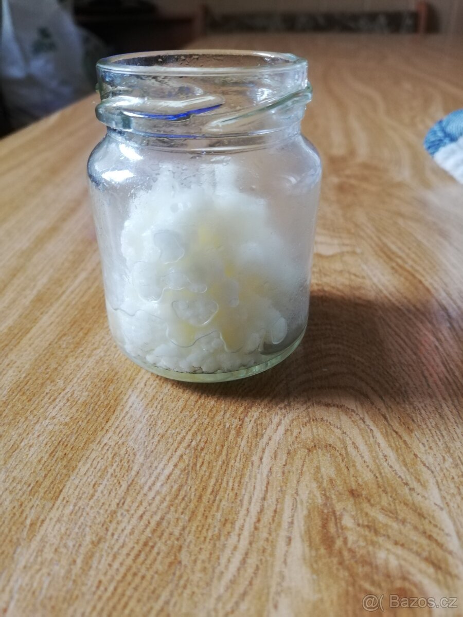 TIBETSKÁ HOUBA / KEFIRKA - 3