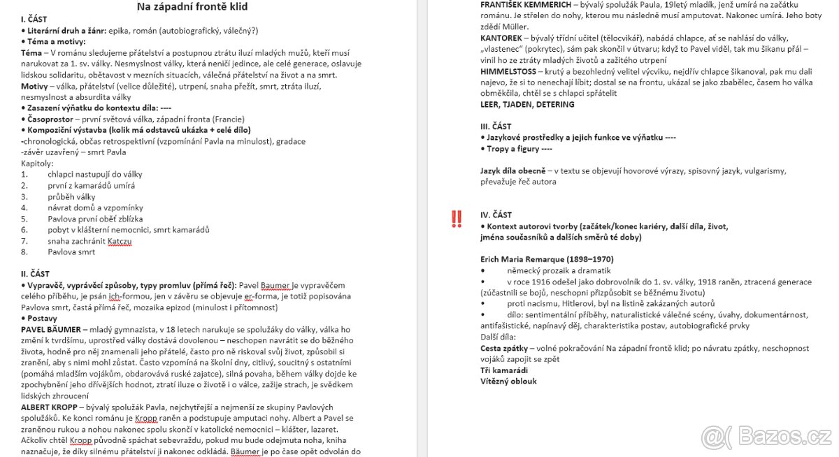 Rozbory knih k maturitě (168 souborů) - 3