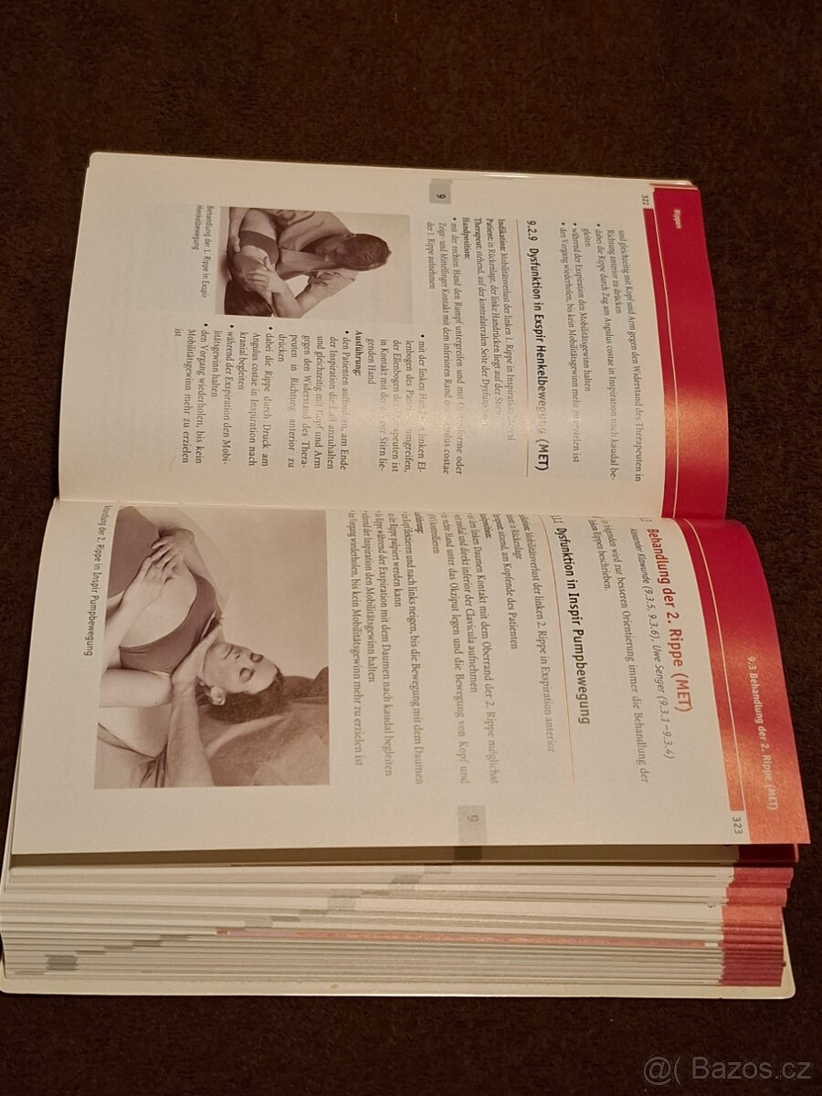 Lékařská kniha: Ostheopathie Parientale Techniken (německy) - 3