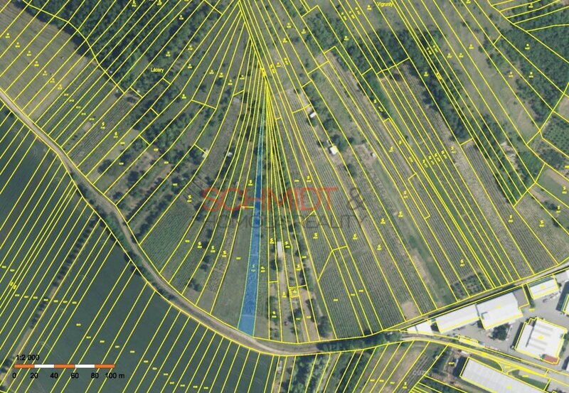 Vinice v Kobylí s možností vybudovat sklípek - 3