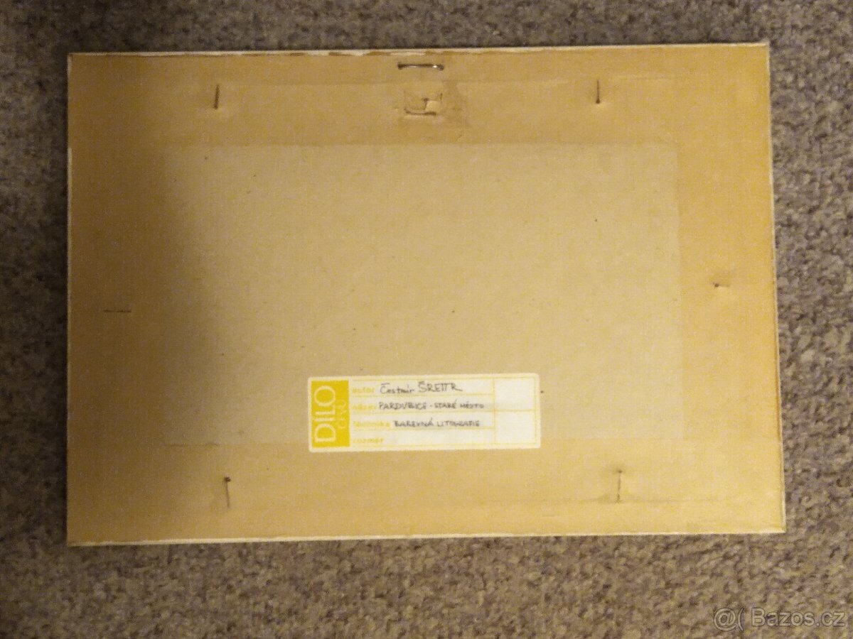 Pardubice - staré město - Čestmír Šrettr - 3