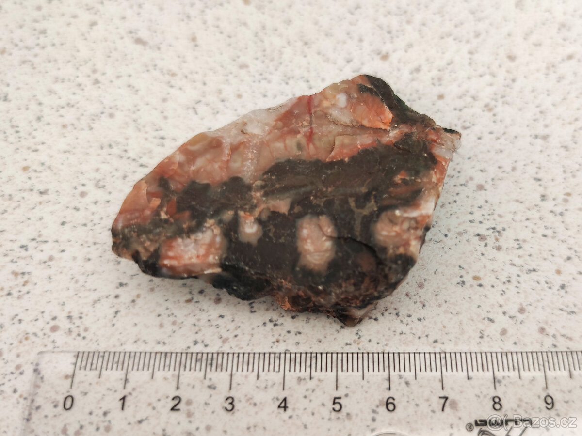 Zkamenělý dinosauří trus - Achát Fosilie Karneol 3 - 3