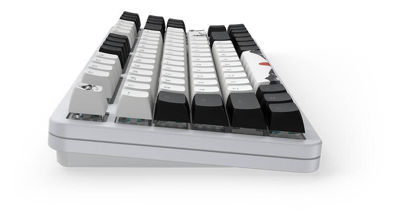 Herní klávesnice Dark Project Fuji II UK - 3