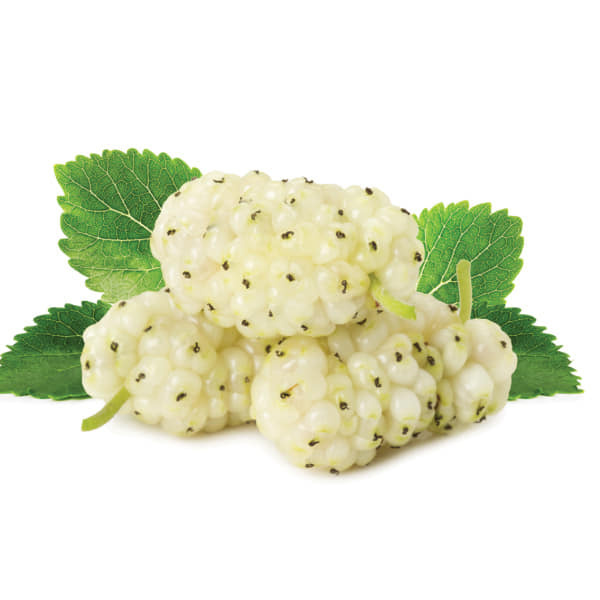 Moruše různé odrůdy - 3