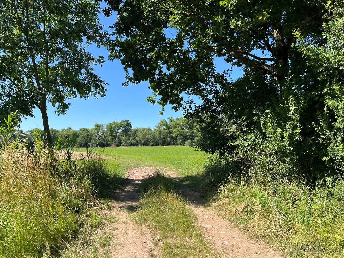Prodej louky u řeky Metuje 3 641 m², ideální pro rybáře - 3