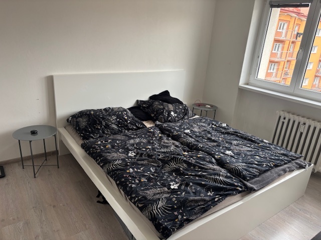 Pronájem bytu 3+1 - 3