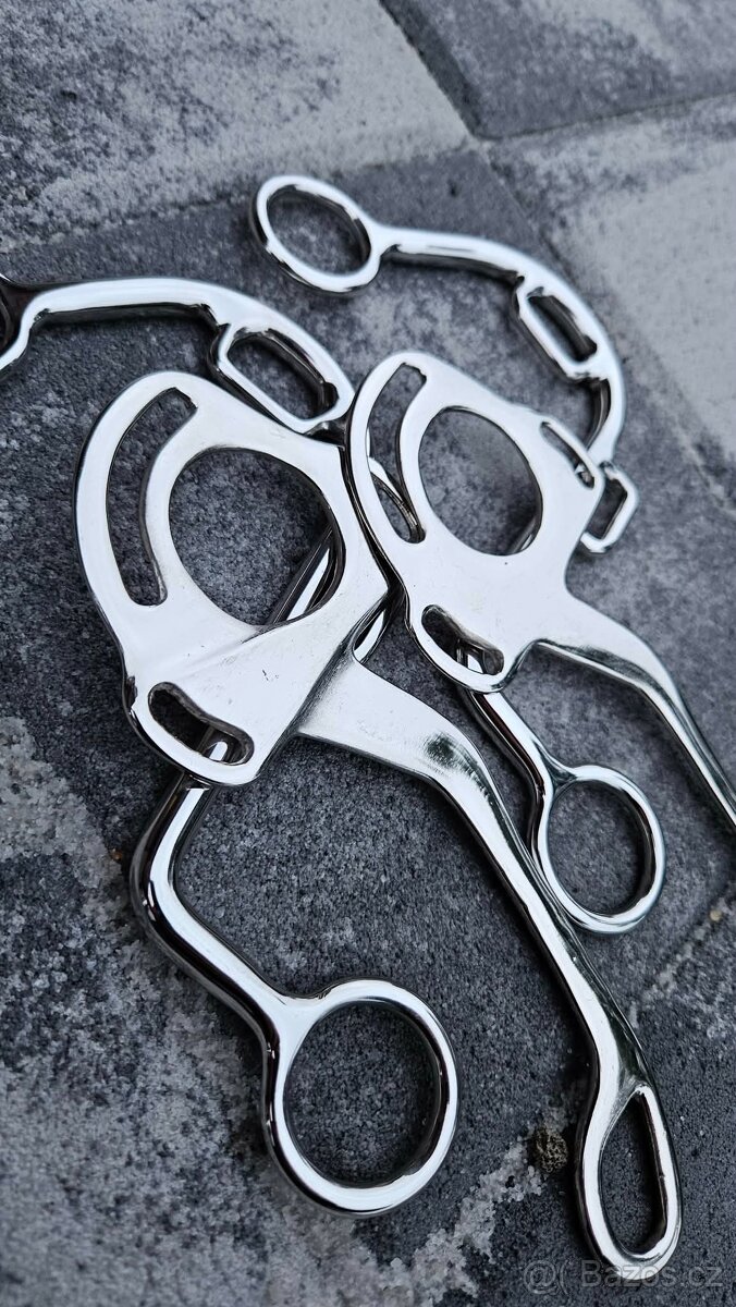 Ramena Hackamore - 3