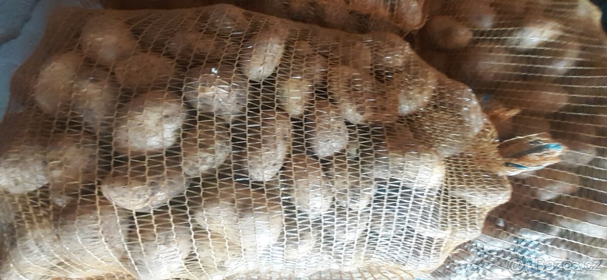 Brambory na,uskladnění - 3