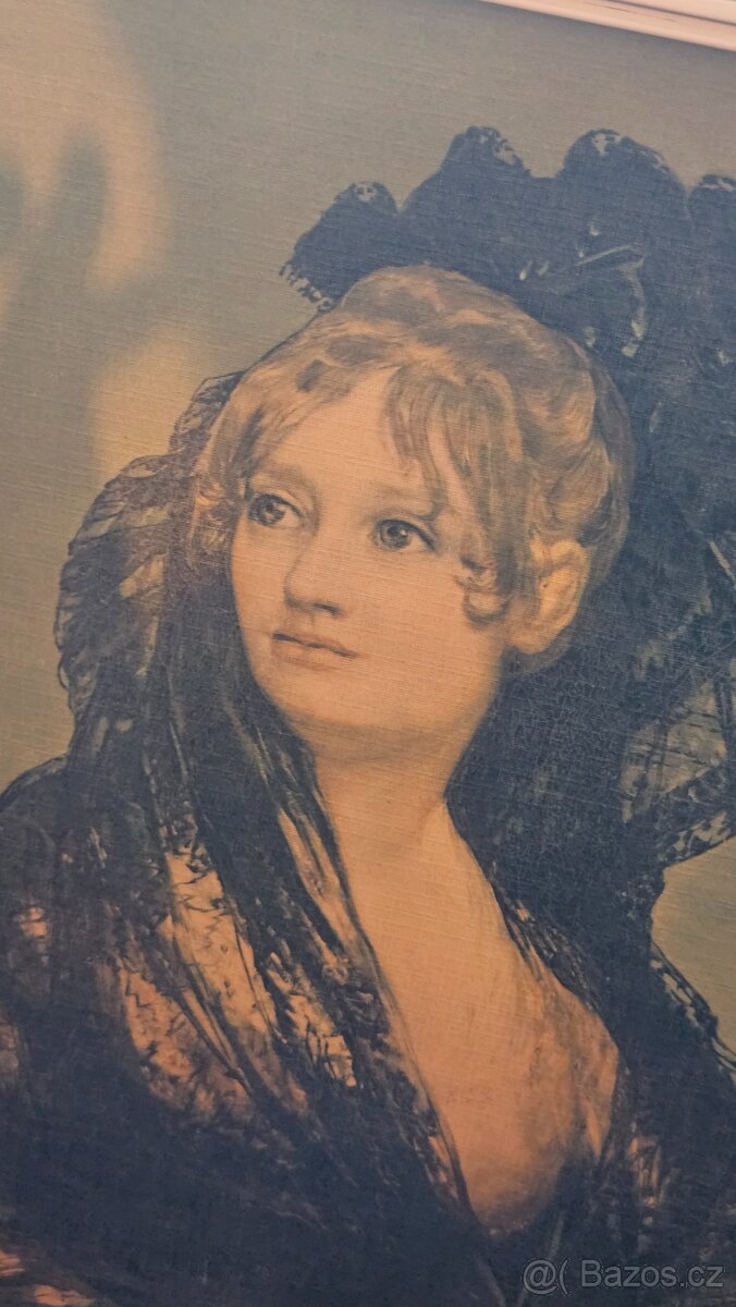 Obraz Francisco Goya - Dona Isabel Cobos de Forcel - 3
