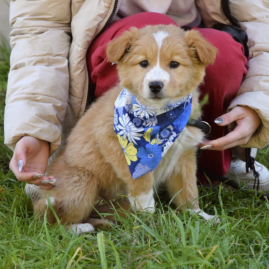 Balisha rezervace - 3