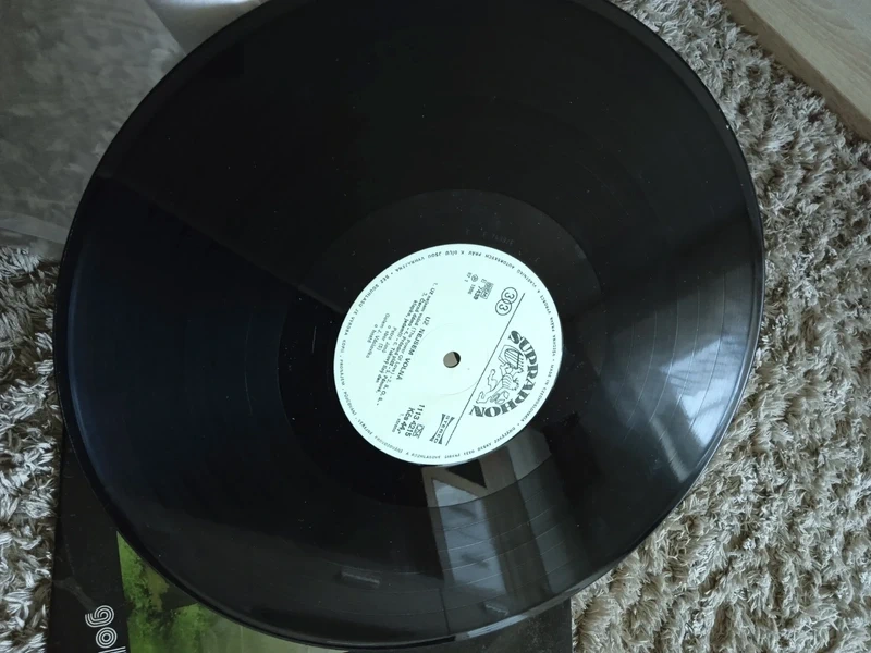 LP - Petra Jan: Už nejsem volná - 3