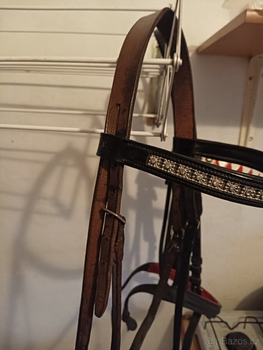 Více věcí pro koně - 3