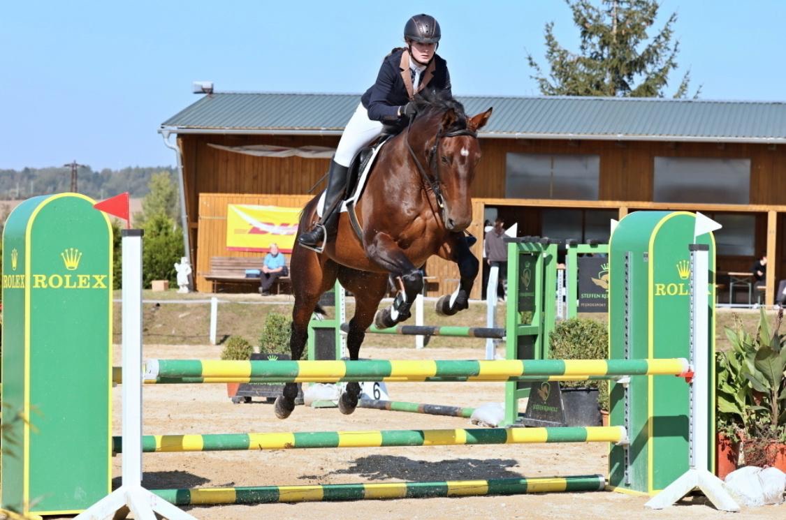 Krásná klisna na prodej - 3