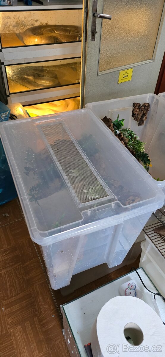 Chovné boxy pro pagekony - 3