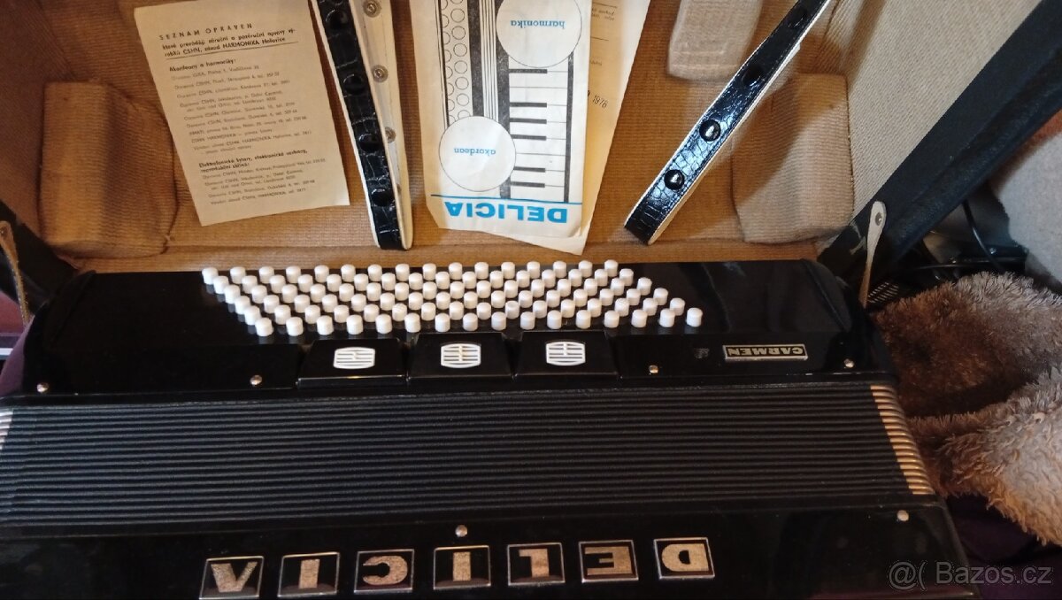 Harmonika DELÍCIA Carmen - 3