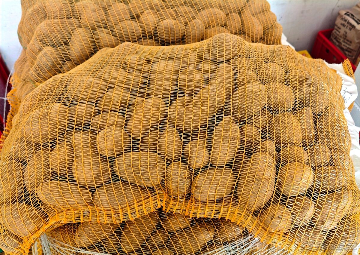 Brambory k uskladnění - 3