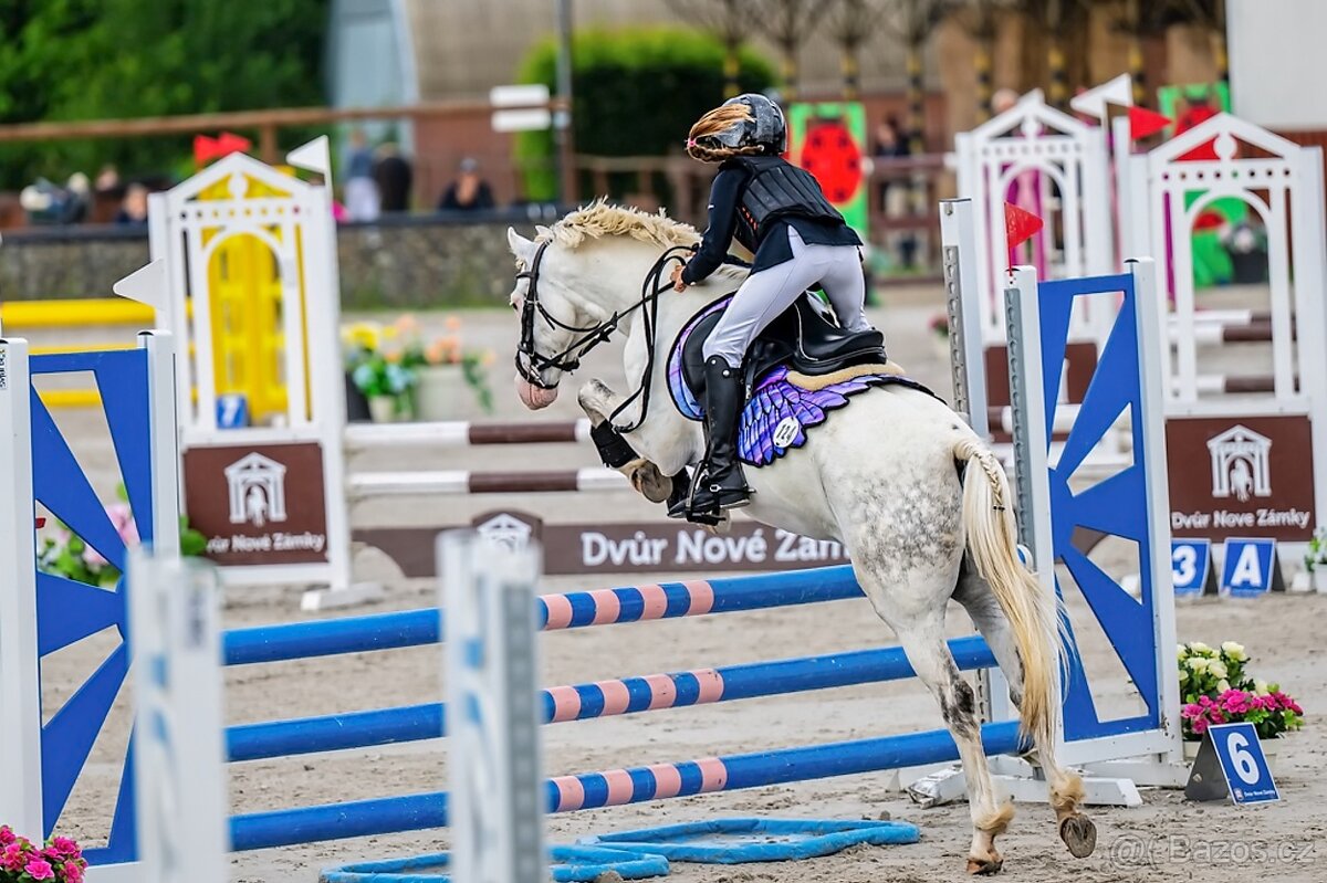 Pony valach kat. A - 3