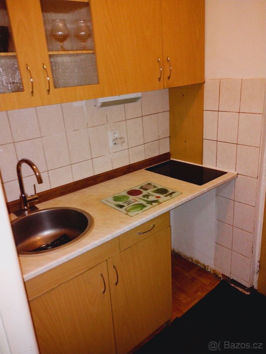 Byt 1 kk ul Borovského - 3