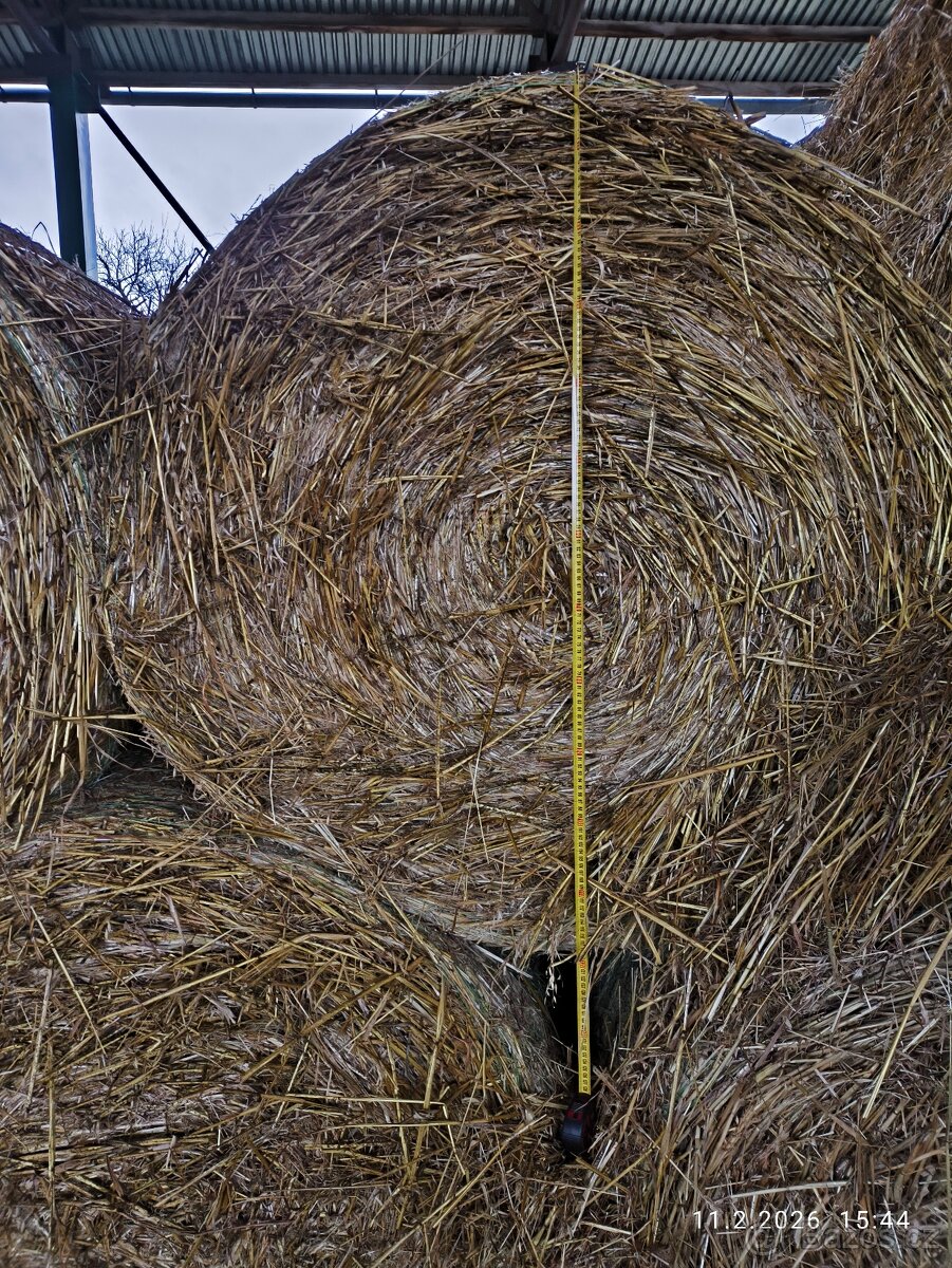 Prodám seno kulaté balíky - 3