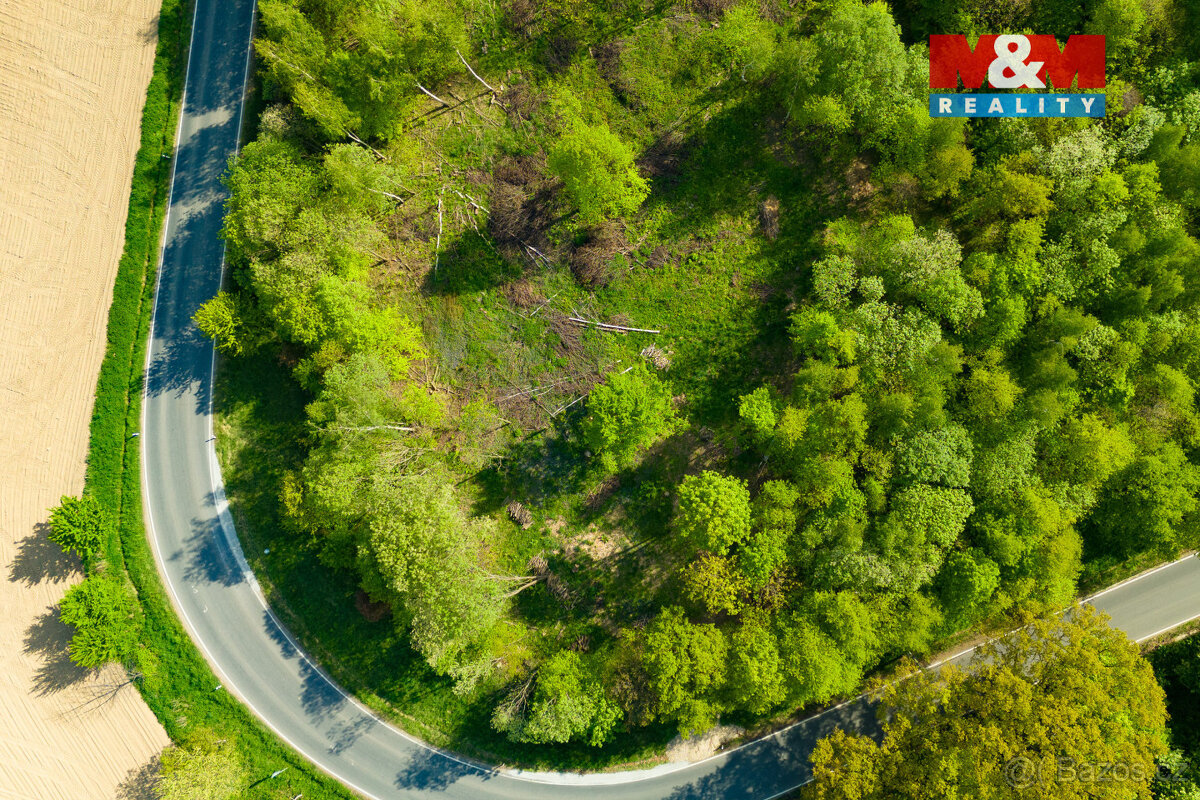 Prodej louky, 4228 m², Mikulovice - 3