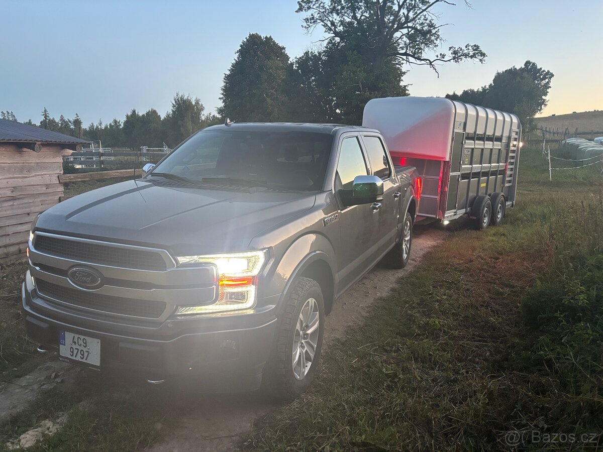 Nabízím přepravu hospodářských zvířat a menších koní - 3