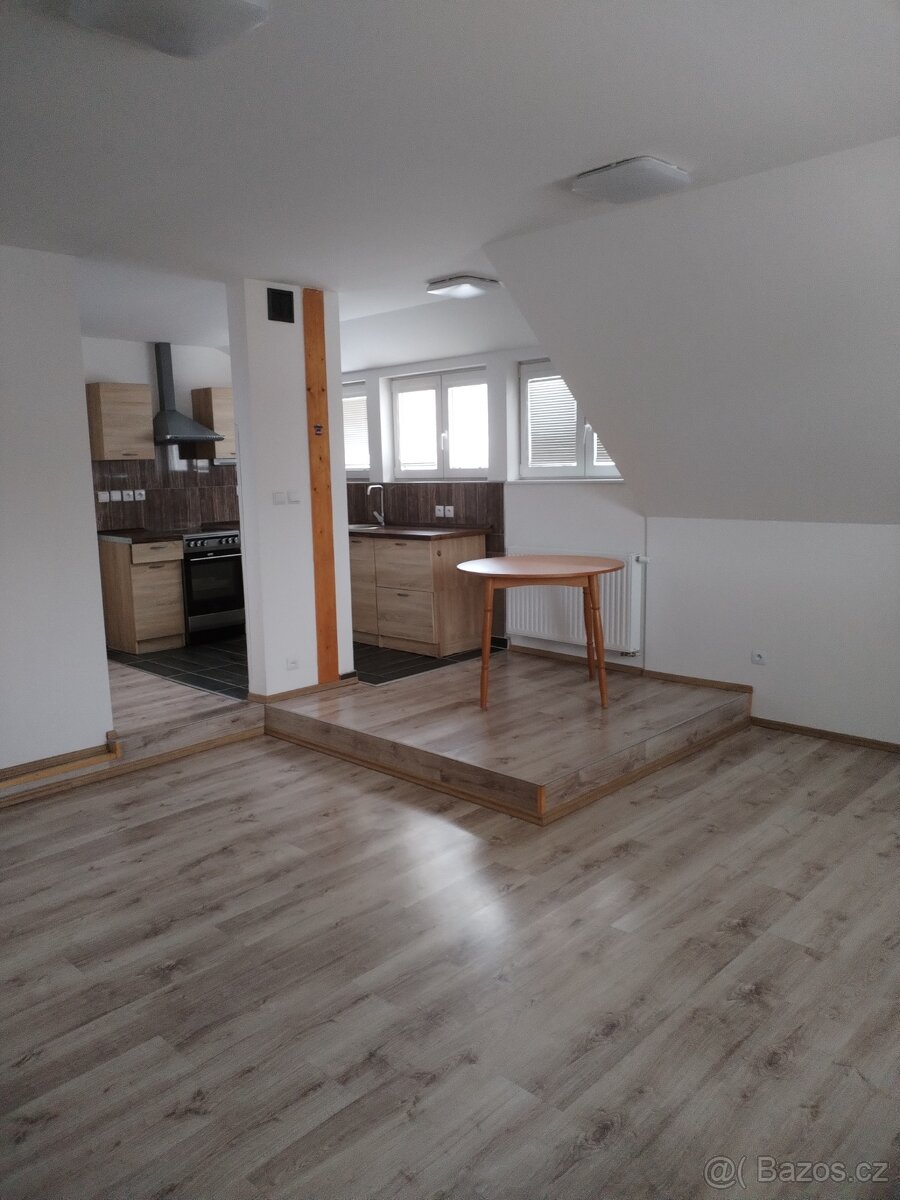 Pronájem bytu - 3