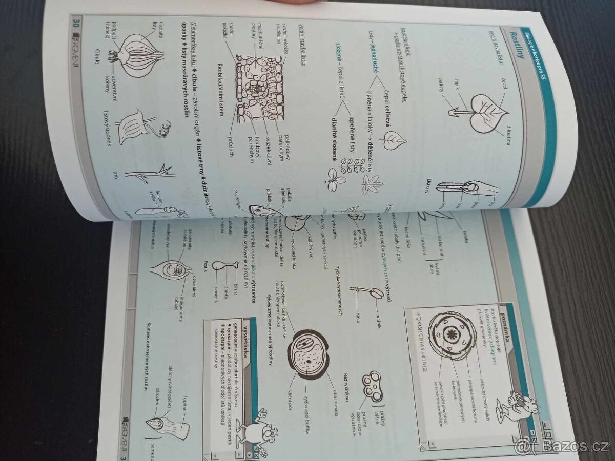 Biologie v kostce - NOVÁ - 3