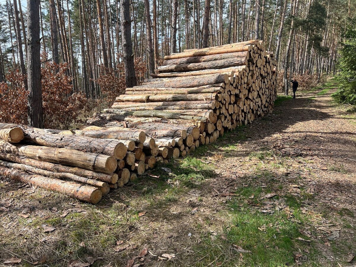 PALIVOVÉ DŘEVO, naštipané, nařezané. - 3