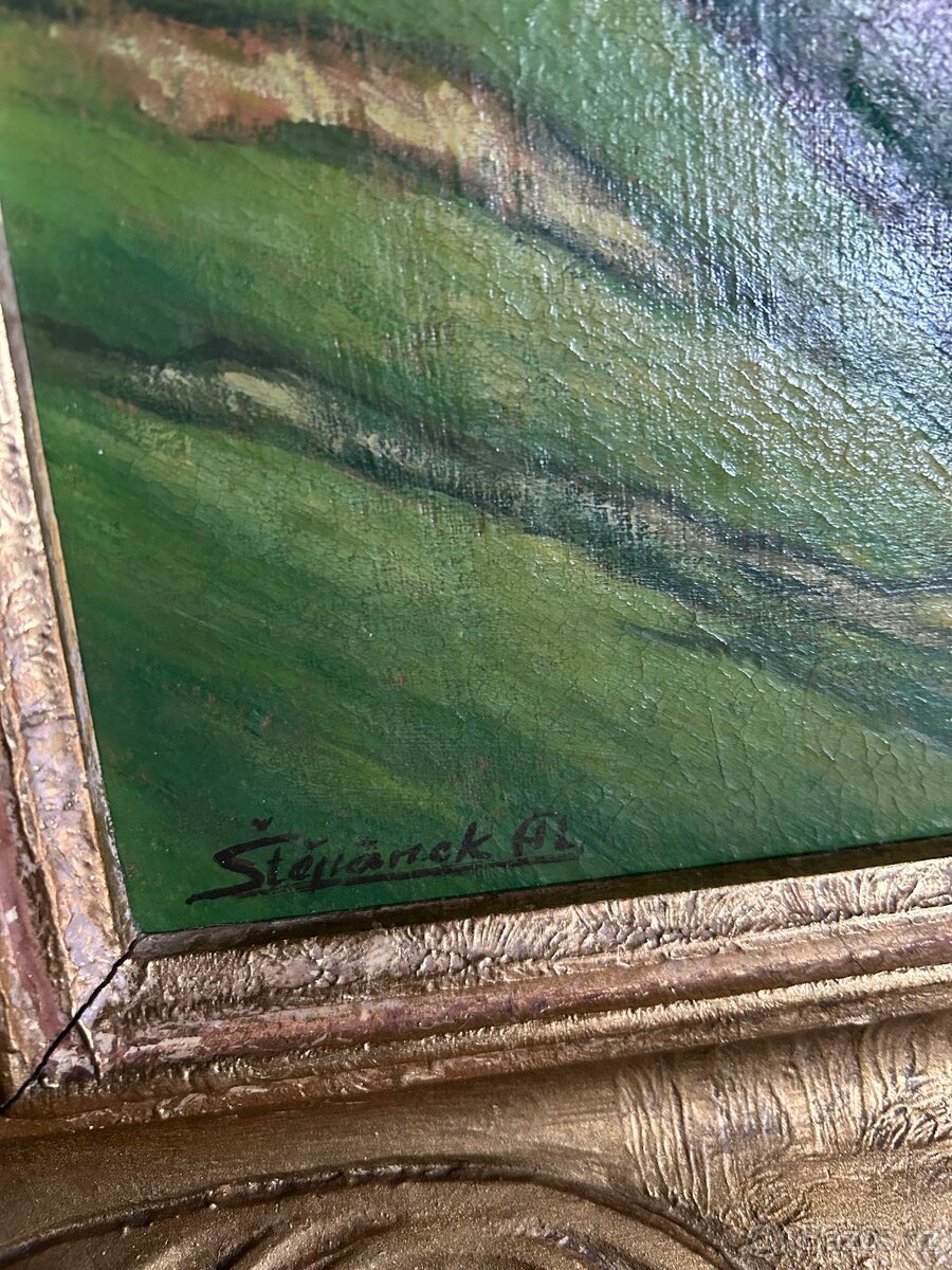 Obraz Štěpánek - 3