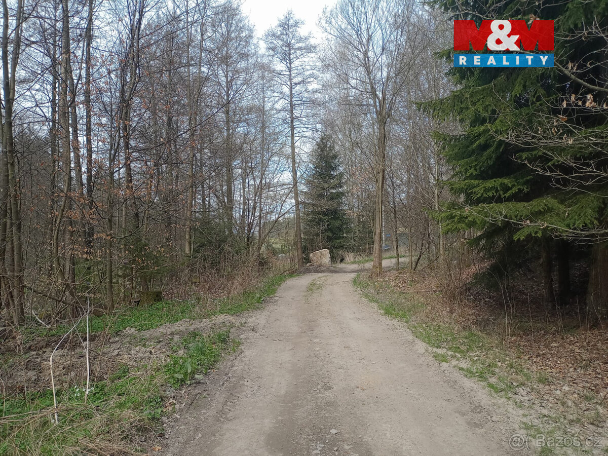 Prodej louky, 7967 m², Kořenov, Liberec - 3