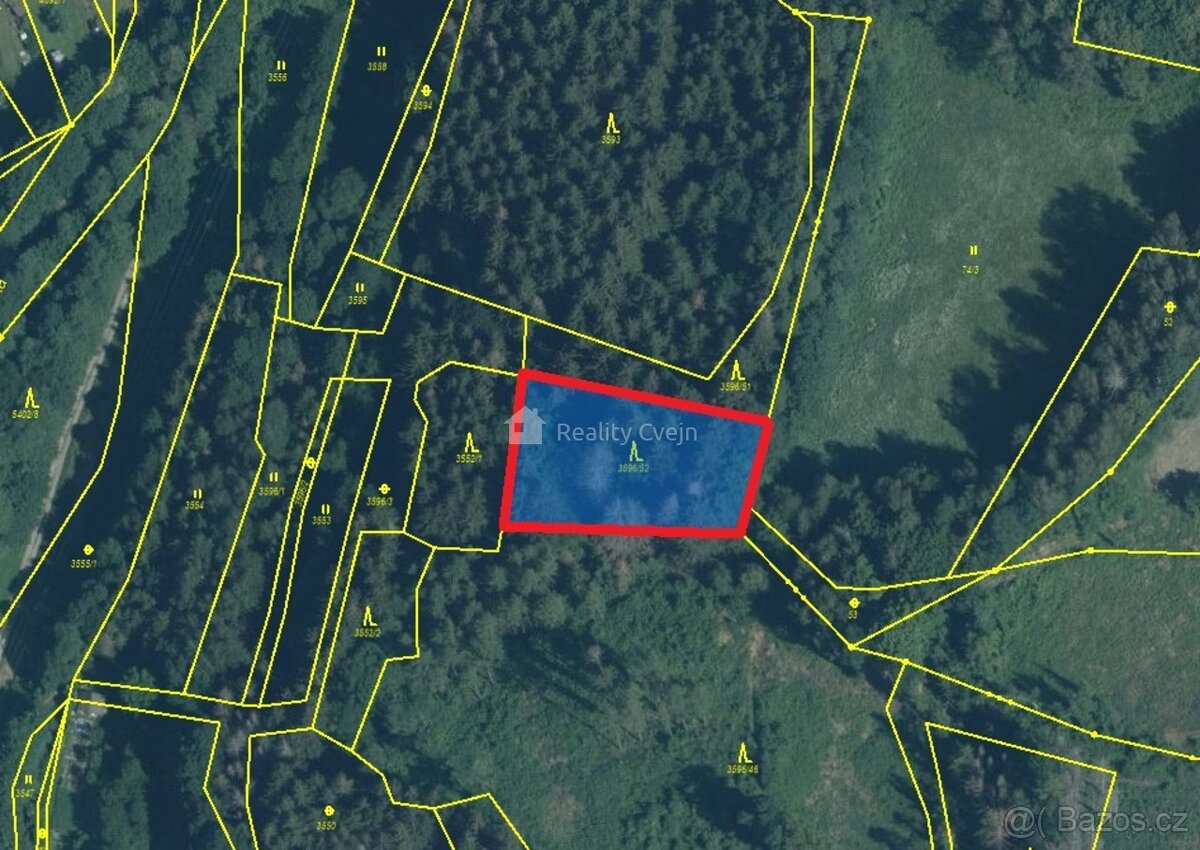 Lesní pozemky k.ú. Růžďka - 3