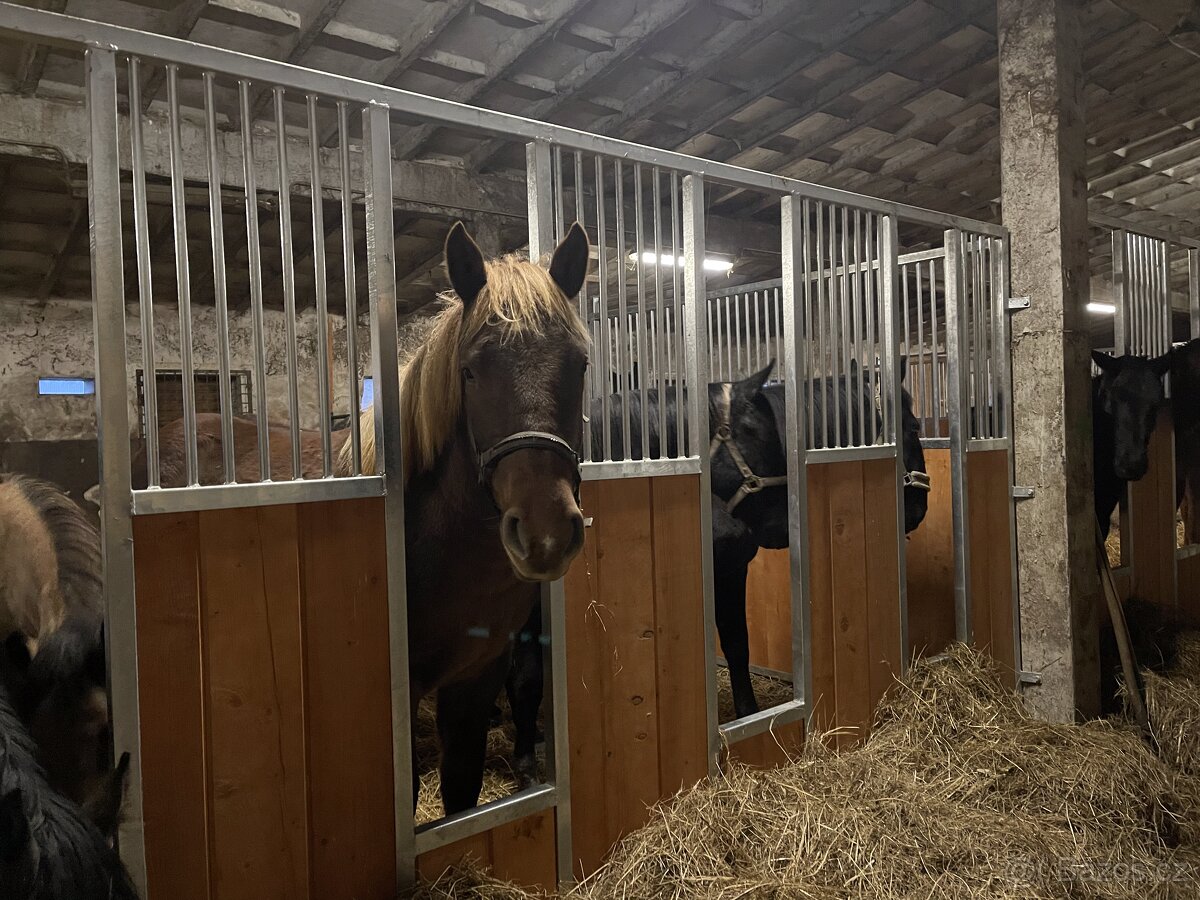 HŘÍBÁRNA NA EDENU - 3