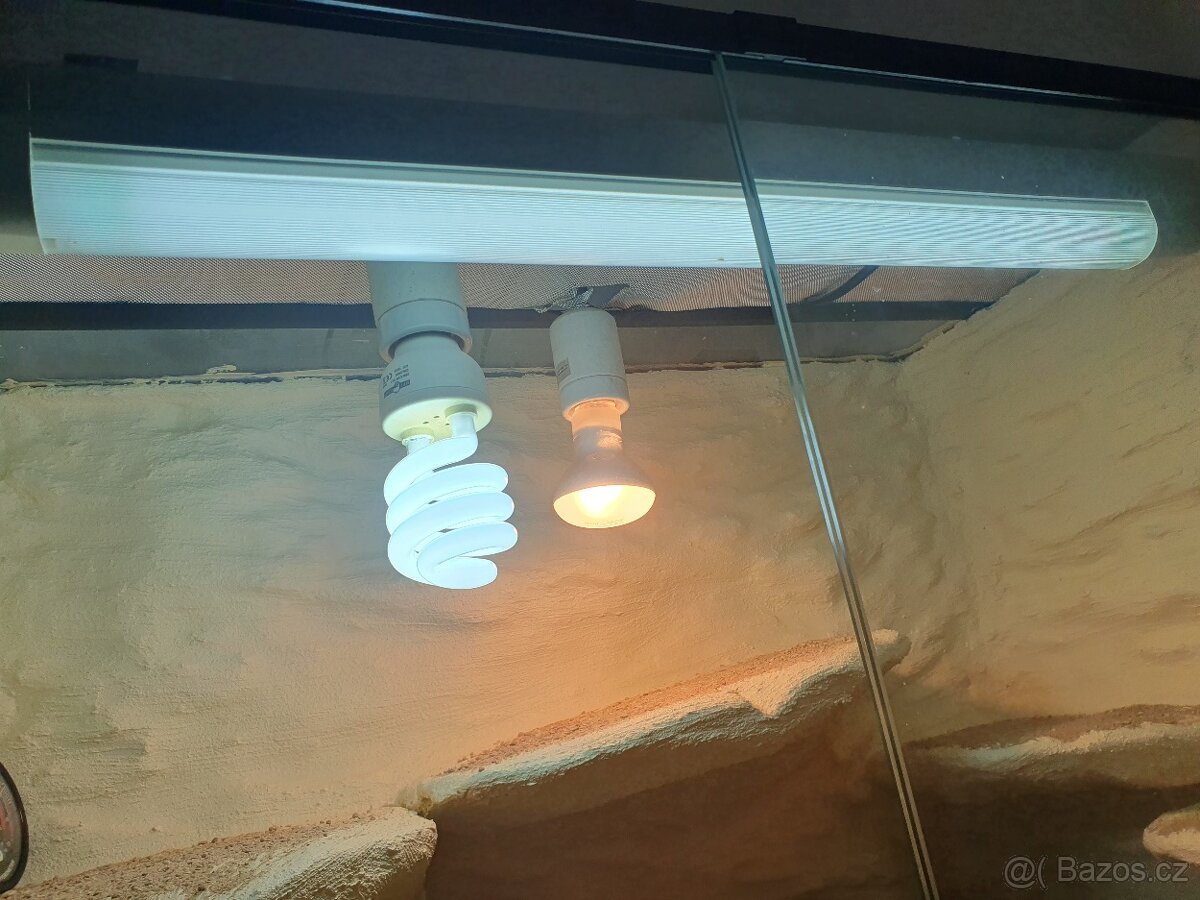 Terarium pro agamu 80x50x40 - 3