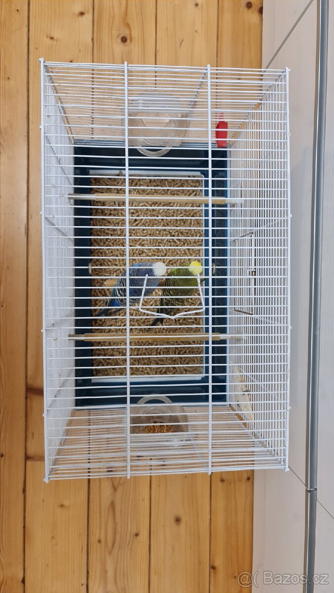 2 Andulky a klec, krmení - 3